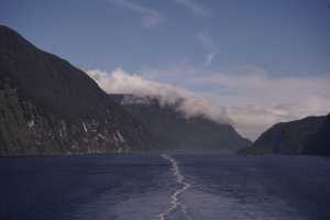 FIORDLAND-NATIONAL-PARK-2019 (253)